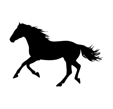 Nicanores