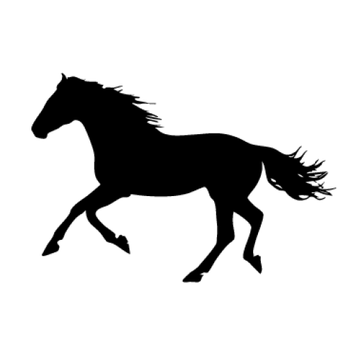Nicanores