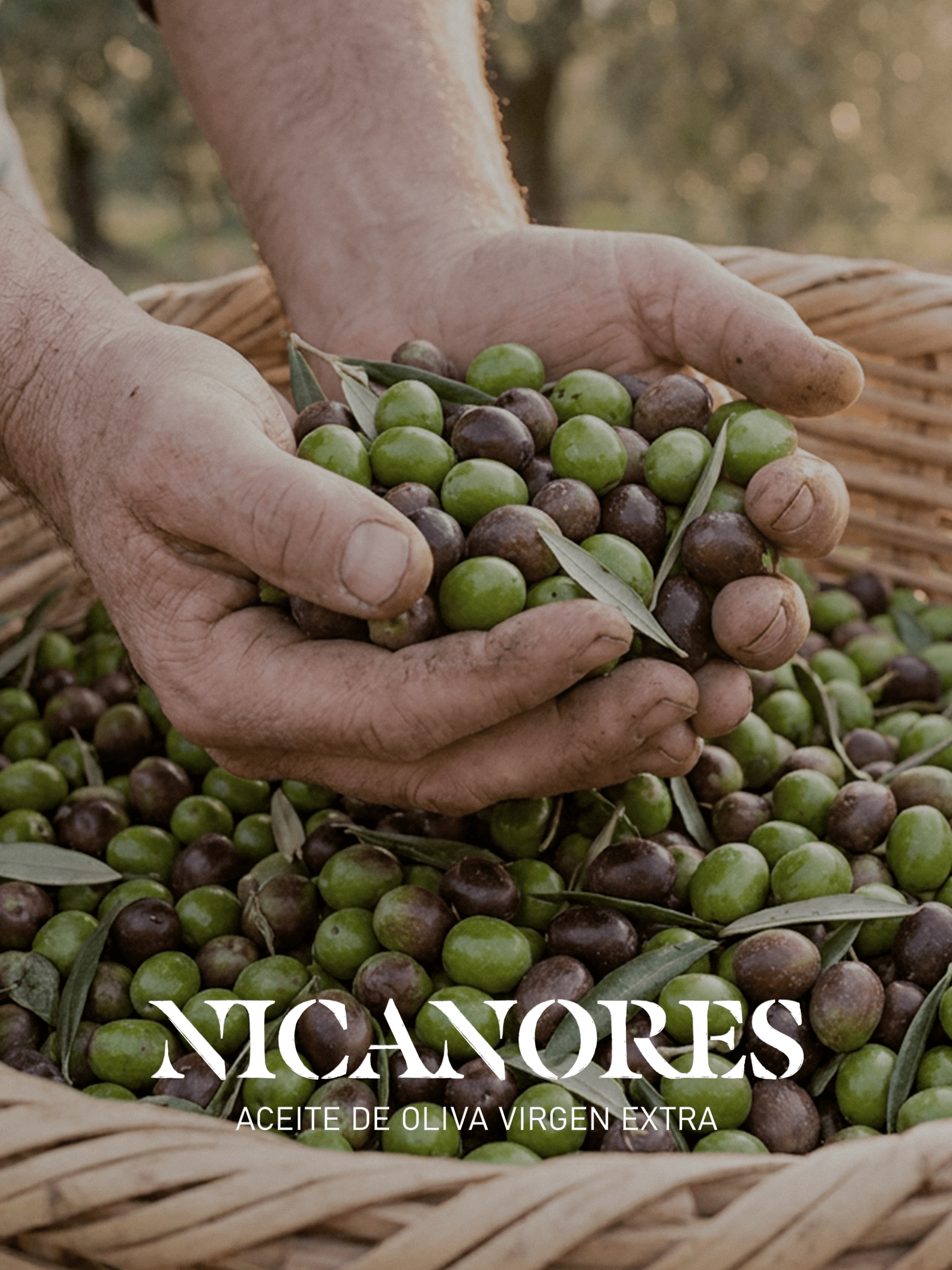 manos nicanores